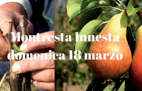 Montresta-Innesta
