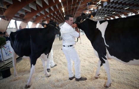 saluzzo mostra meccanica agricola e mostra regionale della frisona