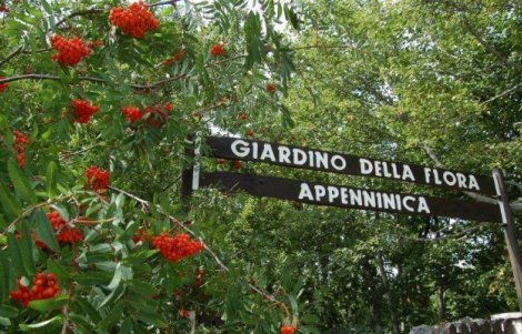 55-anni-Giardino-della-Flora-Appenninica-Capracotta