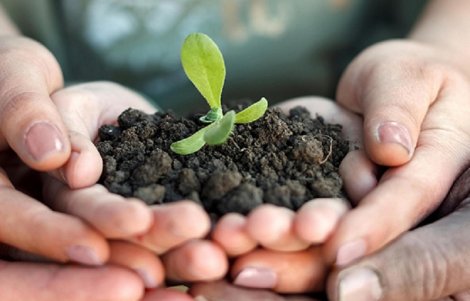 coltiviamo_agricoltura_sociale