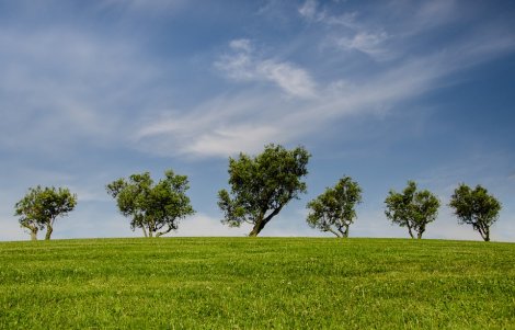 settimana europea per lo sviluppo sostenibile