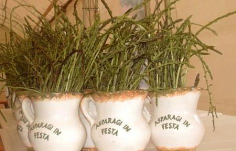 asparagi-in-festa-san-vincenzo-valle-roveto