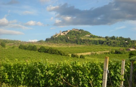 Bertinoro-vista-dai-vigneti