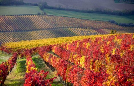 borgo di bertinoro