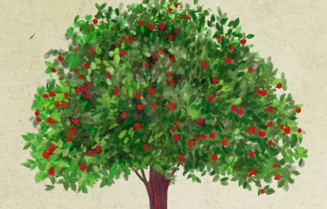 Il bosco del tempo