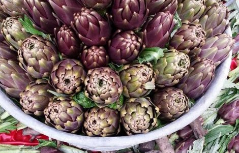 Il carciofo violetto