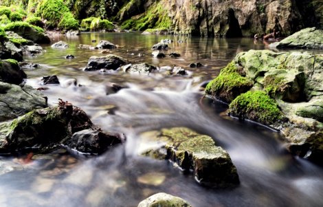 Riserva-Naturale-Grotte-di-Luppa