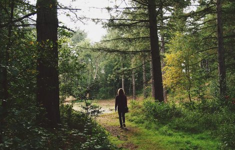 turismo a zero emissioni, camminare, turismo rispettoso della natura e del paesaggio