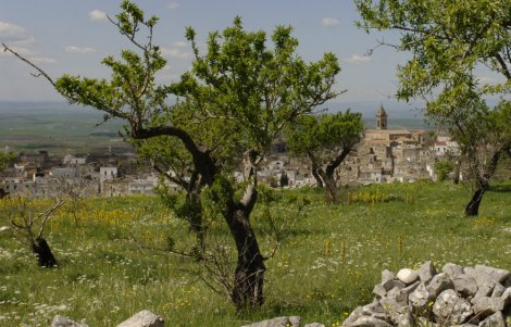 Minervino Murge escursione borghi autentici d'italia