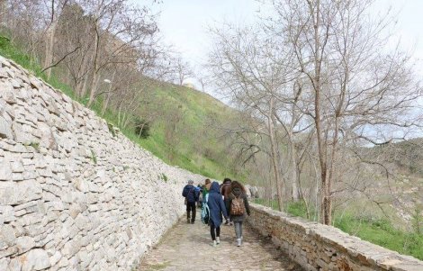 minervino murge puglia passeggiata naturalistica alla scoperta dei tesori delle murge