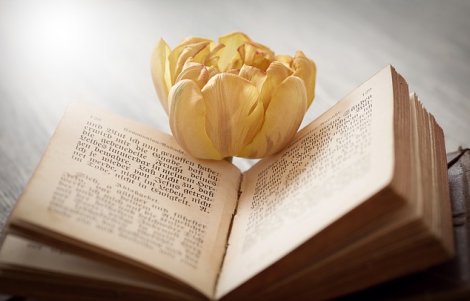 montesegale presentazione libro