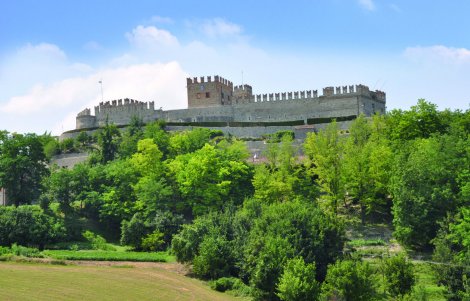 montesegale comunità ospitale