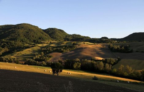 montesegale