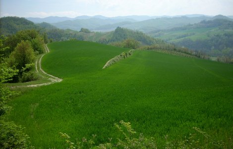 paesaggio 