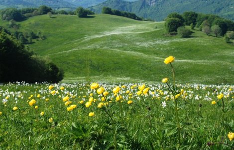 Parco dell'Antola