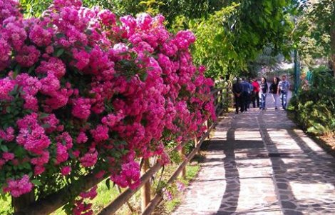 galtellì C'era una volta... pomeriggio per i più piccoli