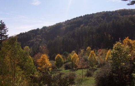 pietralunga colline autunno