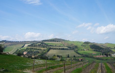 predappio borghi autentici d'italia vigneti