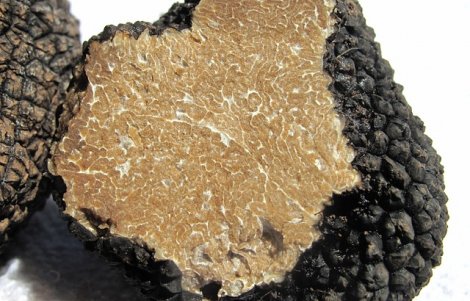 sante marie seconda edizione della sagra del tartufo