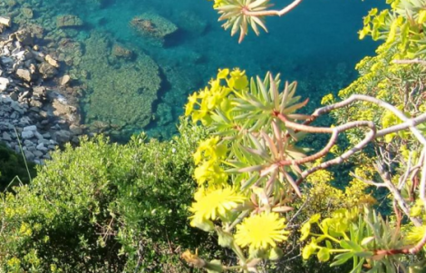 Giardino-didattico-Sestri-Levante