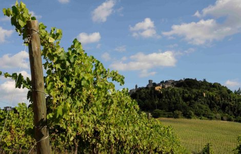 comunità ospitale di bertinoro incontro per la comunità ospitale