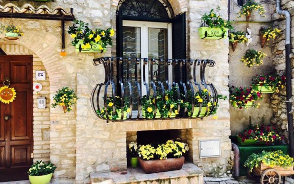 Boro-in-fiore-Archi