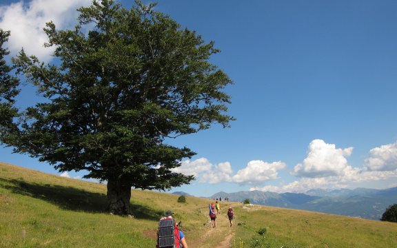 foto-cammino-nelle-terre-mutate