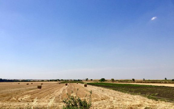 Campi-Casalvecchio-di-Puglia