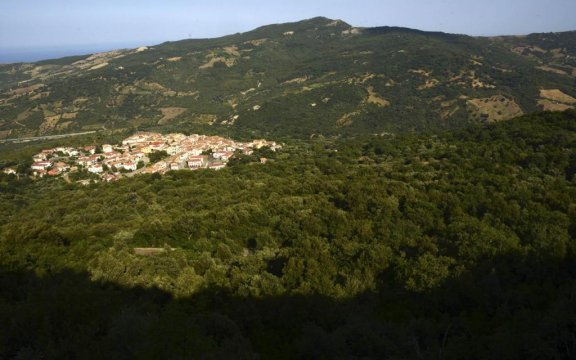 Canna-veduta