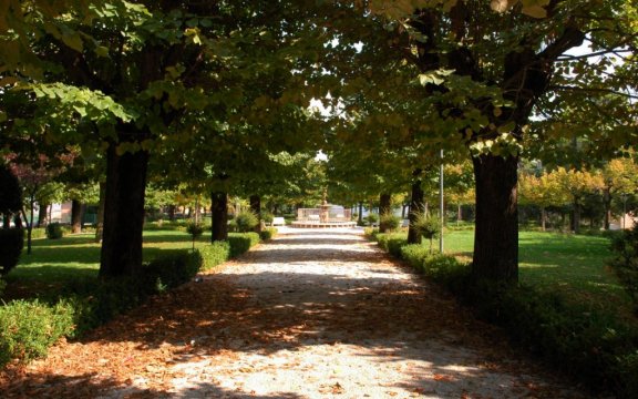 Carassai-giardini-pubblici