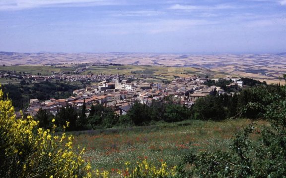 Laurea-Castelnuovo-della-Daunia
