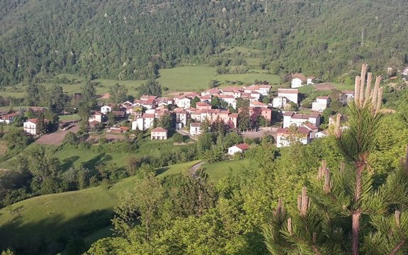 Cerignale