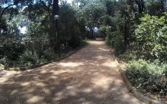 Collepasso-Parco-Bosco