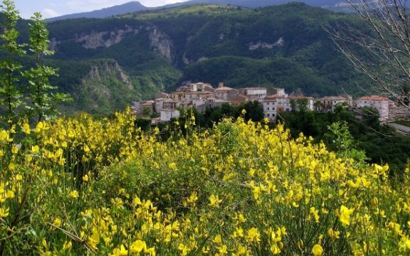 Fallo-panorama del borgo con ginestre