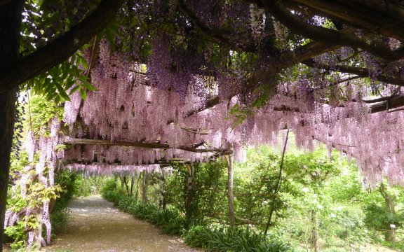 Giardino-segreto-della-anima-foto-antonio-de-marco