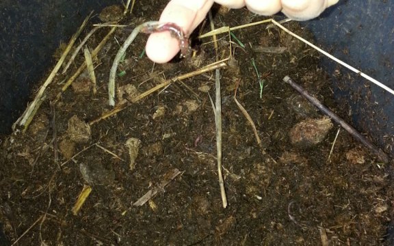 Melpignano: primo impianto di compostaggio di comunità della Puglia