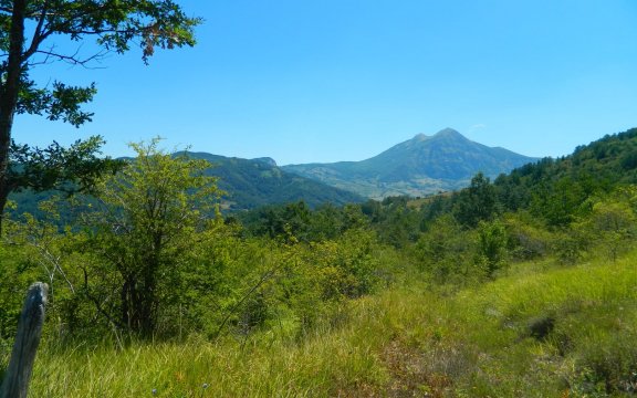 Ferragosto-alternativo-Moliterno