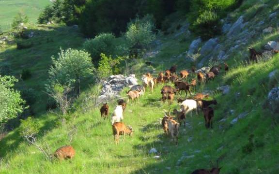 Ormea-Monte-Panne