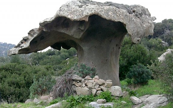 Orotelli-rocce-tipiche-il-fungo
