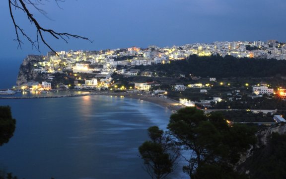 Peschici_panorama_notturno