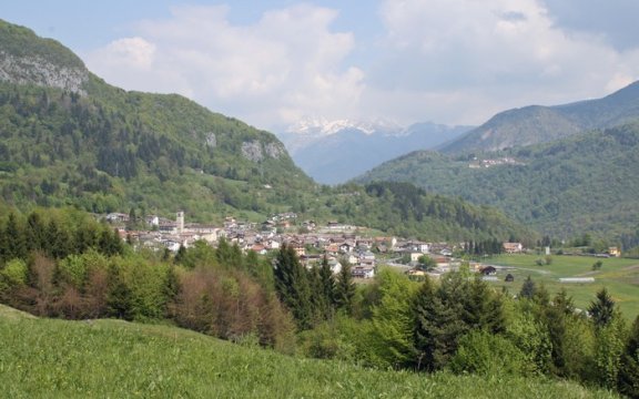 Raveo