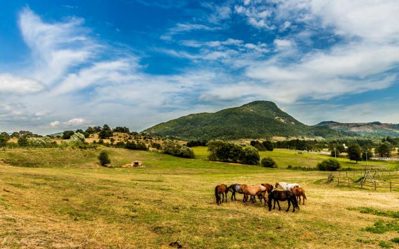 San-Pietro-Avellana-Monte-Miglio