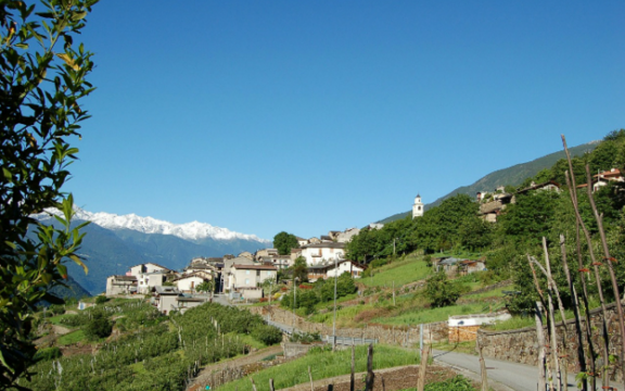 decreto milleproroghe