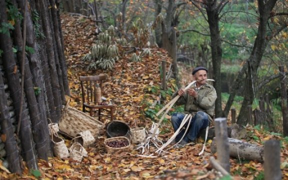 Tramonti-artigiano nel bosco