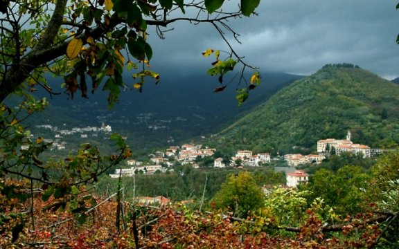 Tramonti-panorama-dai vigneti