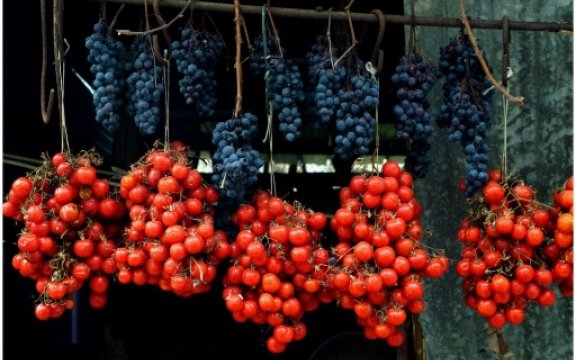 Tramonti-uva-pomodorini