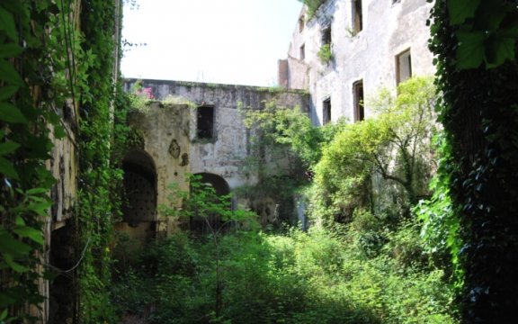 Valore-in-rete