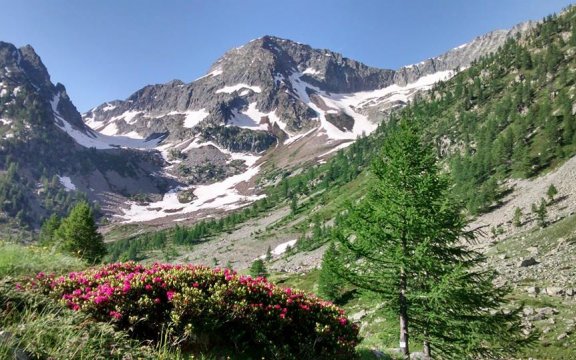 decalogo-montagna-Uncem