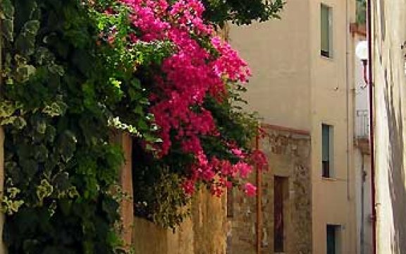 Una via del borgo di Onifai, foto Comune di Onifai