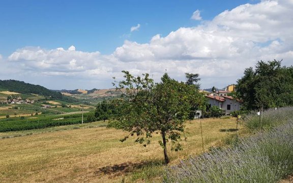 Veduta-da-BorgorattoMormorolo-ph.Proloco-Borgoratto